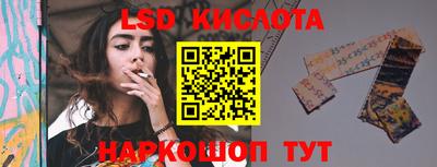 гашик Кулебаки