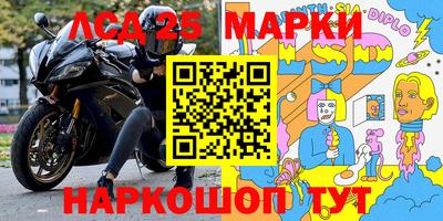 гашик Кулебаки