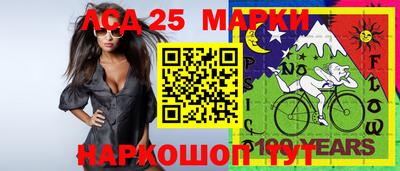 гашик Кулебаки