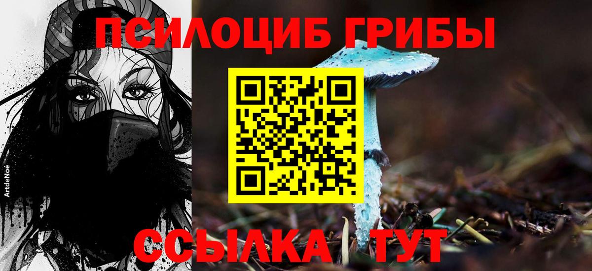 Псилоцибиновые грибы мухоморы  Вход с VPN  Карпинск 