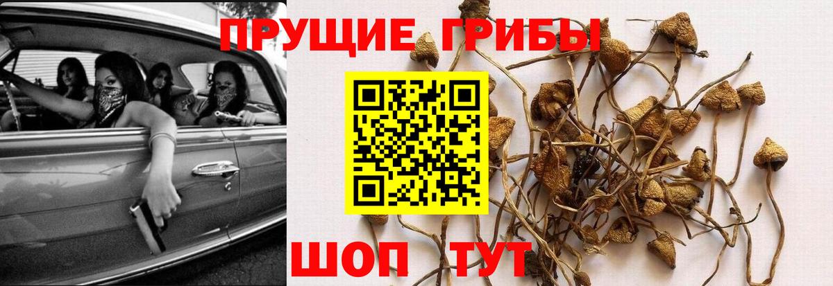Псилоцибиновые грибы мухоморы Карпинск